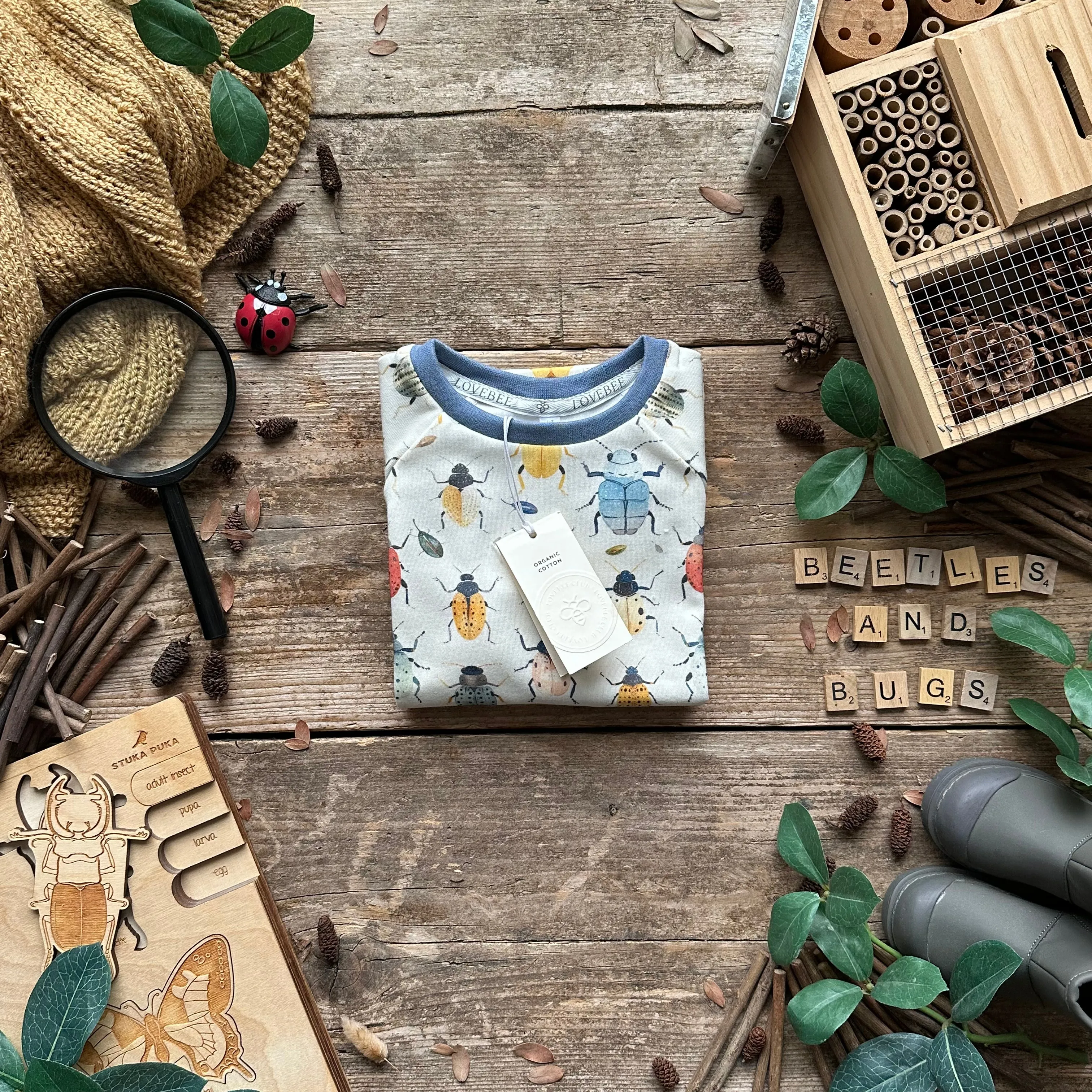 Beetles   Bugs Summer Short Set