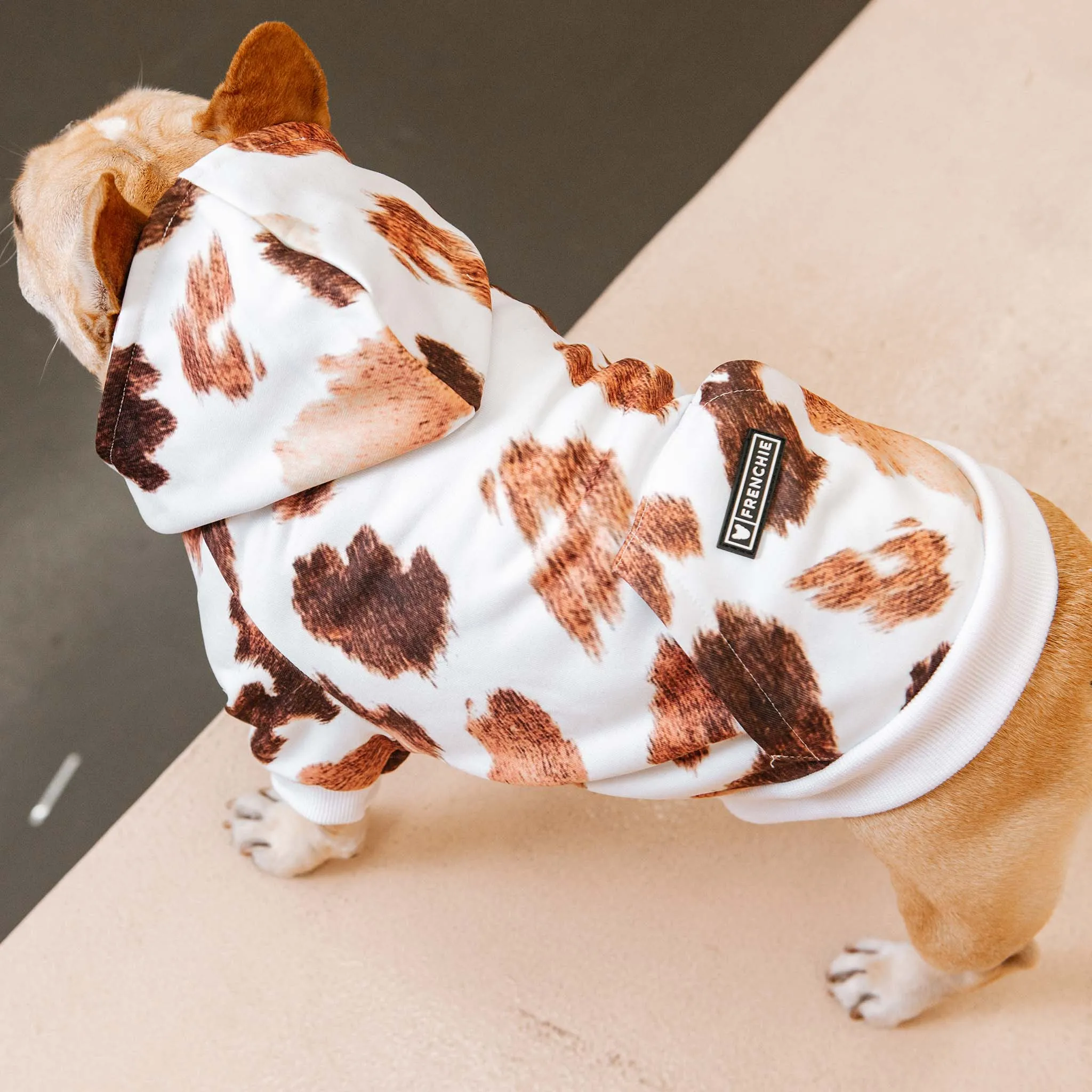 Frenchie - Frenchie Dog Hoodie - Moo: M