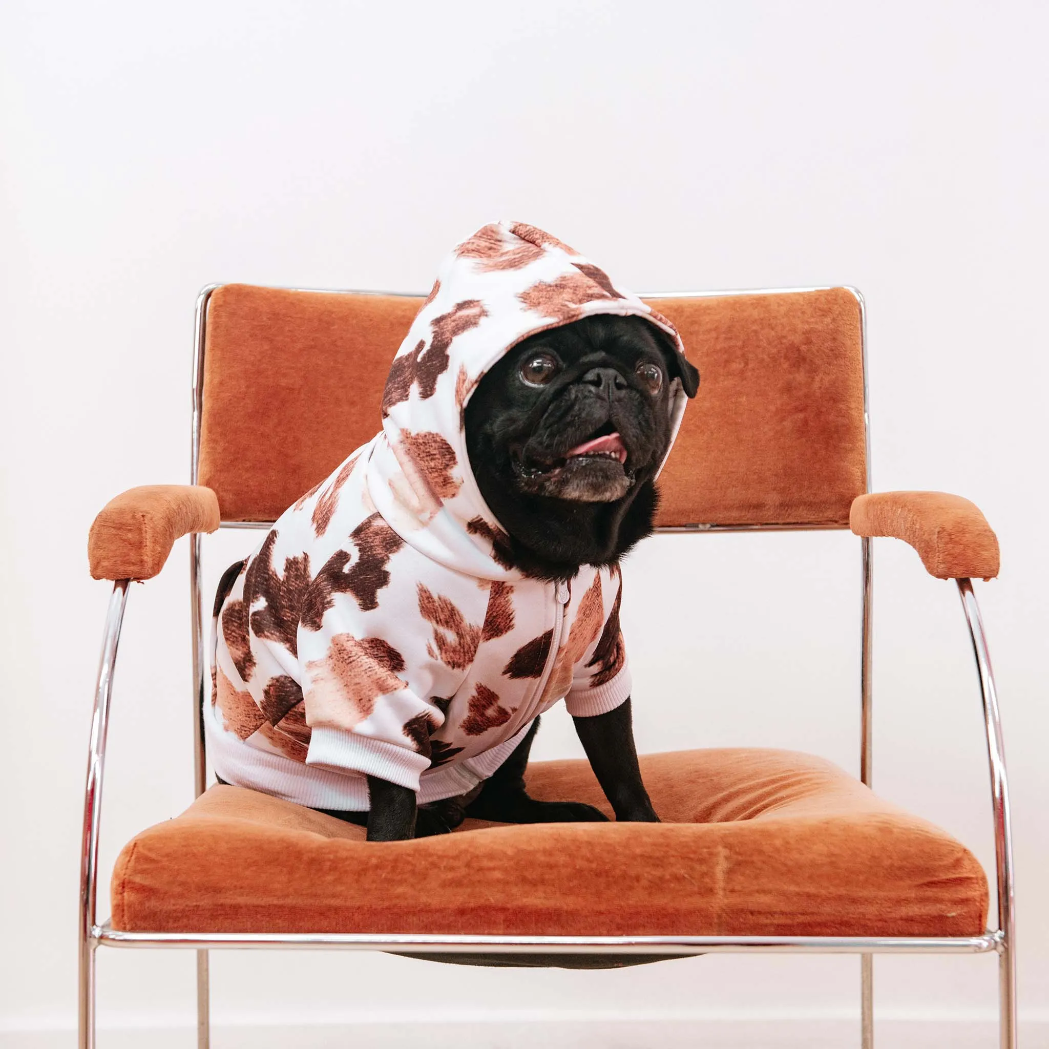 Frenchie - Frenchie Dog Hoodie - Moo: M