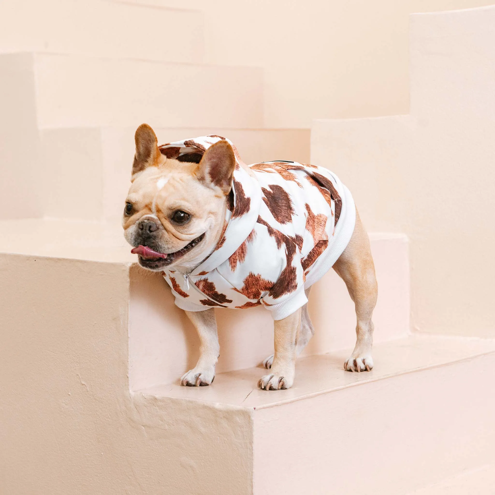 Frenchie - Frenchie Dog Hoodie - Moo: M