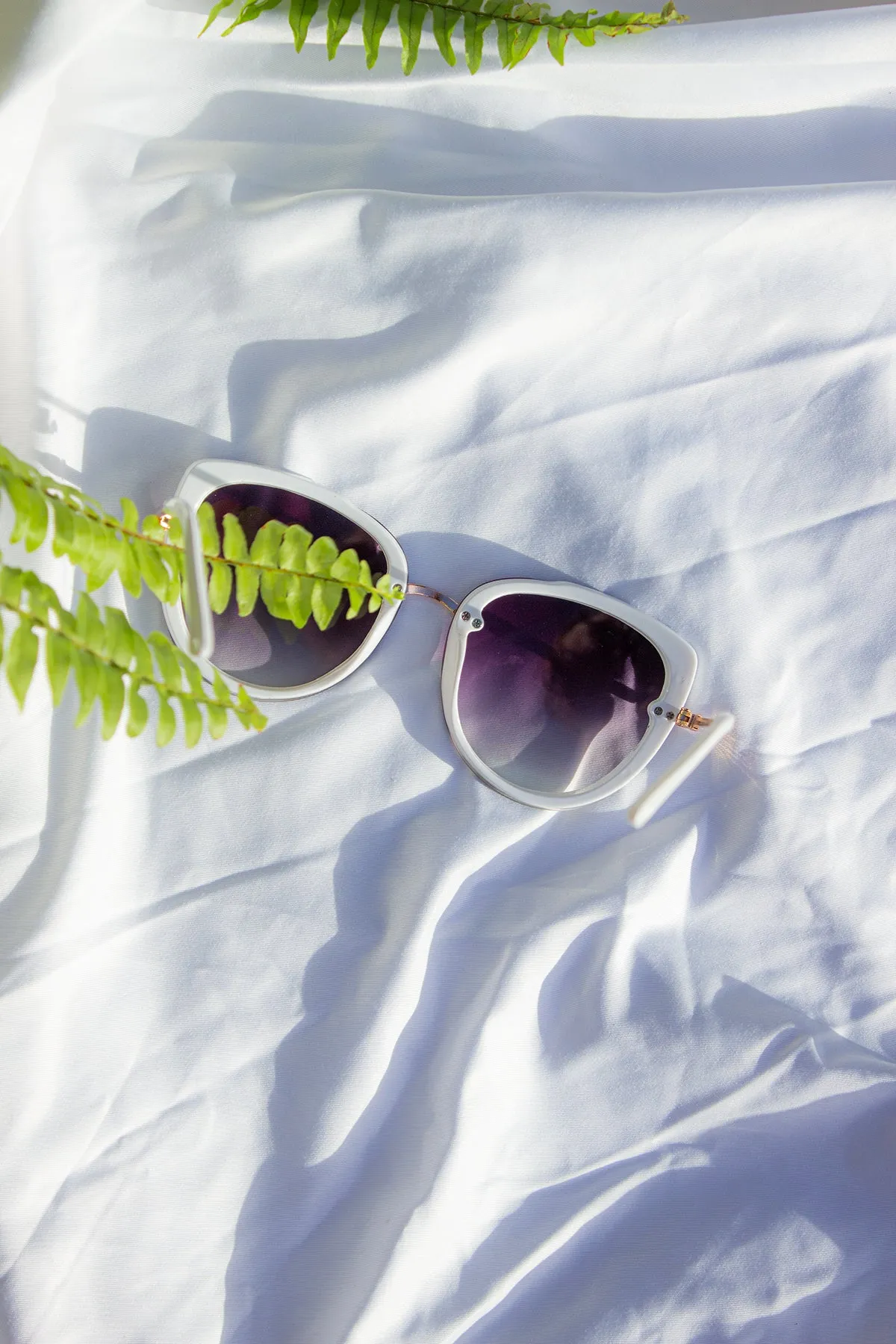 Front Lens Oversized Sunglasses