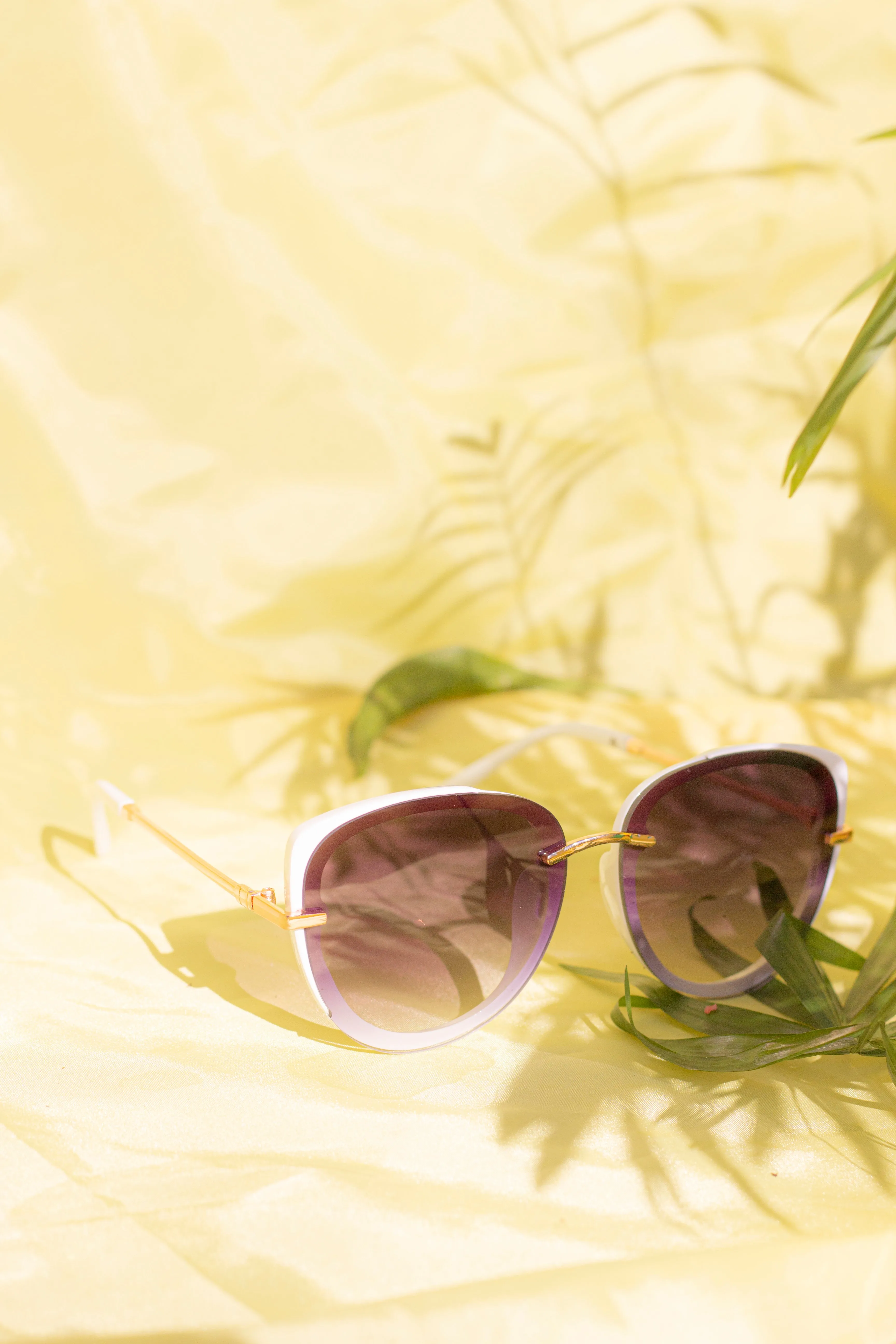 Front Lens Oversized Sunglasses