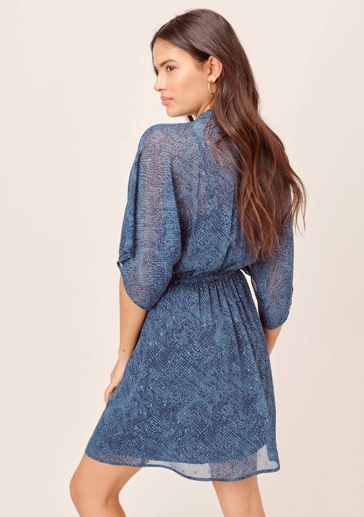 Giana Kimono Sleeve Dress