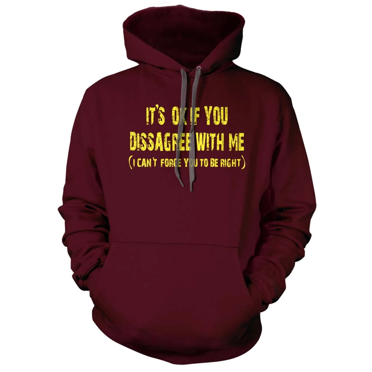 It's ok if you disagree with me (I can't force you to be right) Hoodie