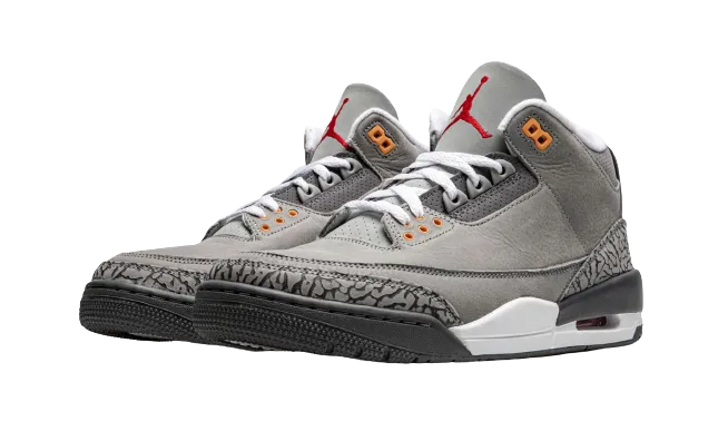 Jordan 3 Retro "Cool Grey 2021"