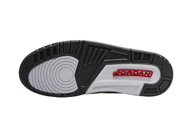 Jordan 3 Retro "Cool Grey 2021"