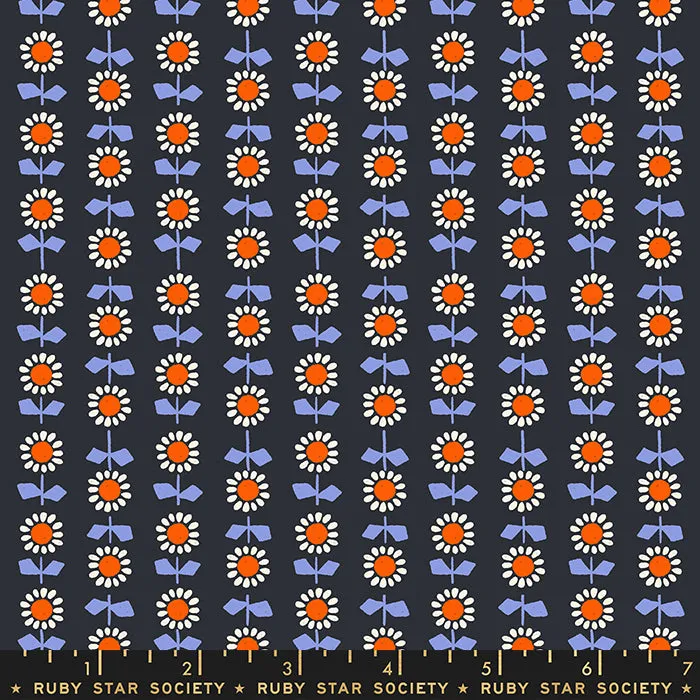 Meadow Star, Bloom in Soft Black