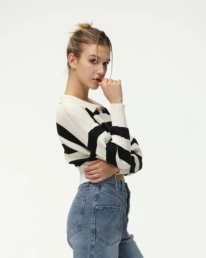 Polo Plasm Sweater