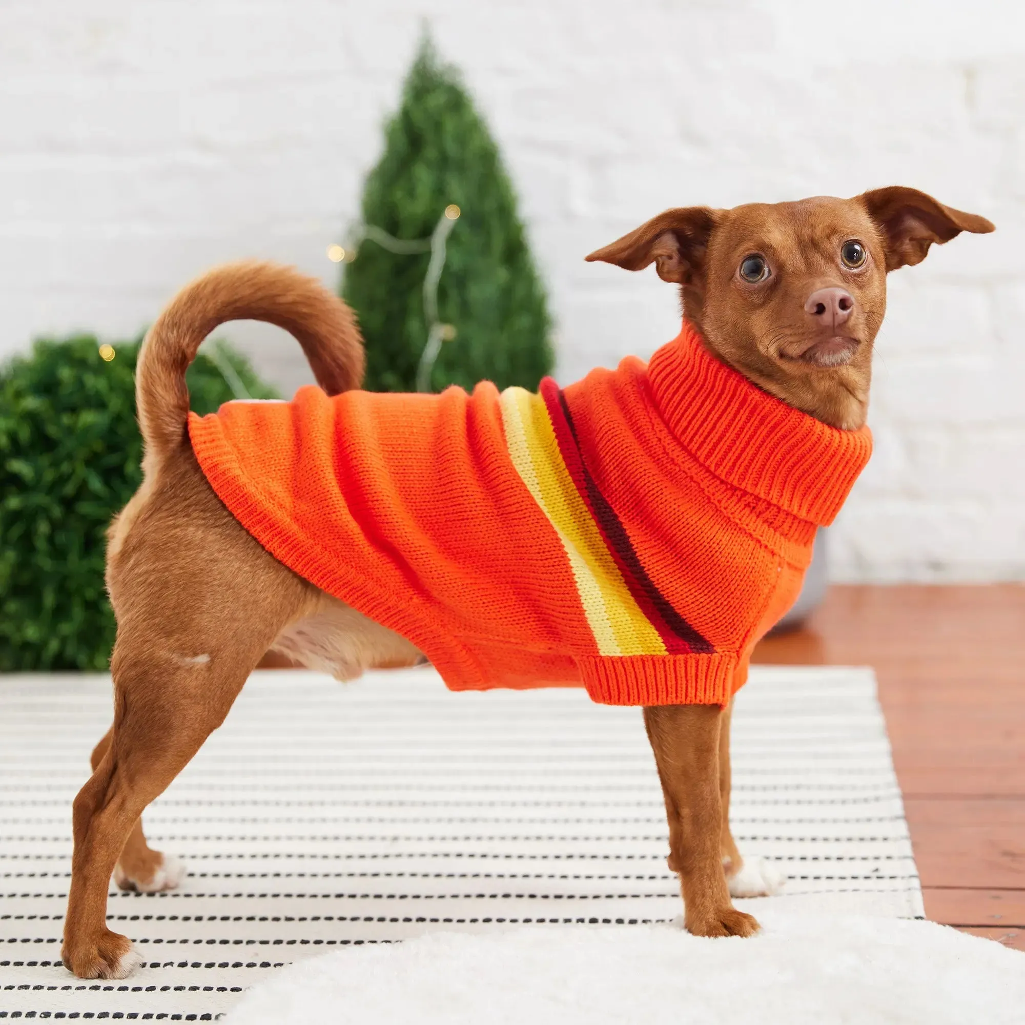 Retro Dog Sweater | Orange