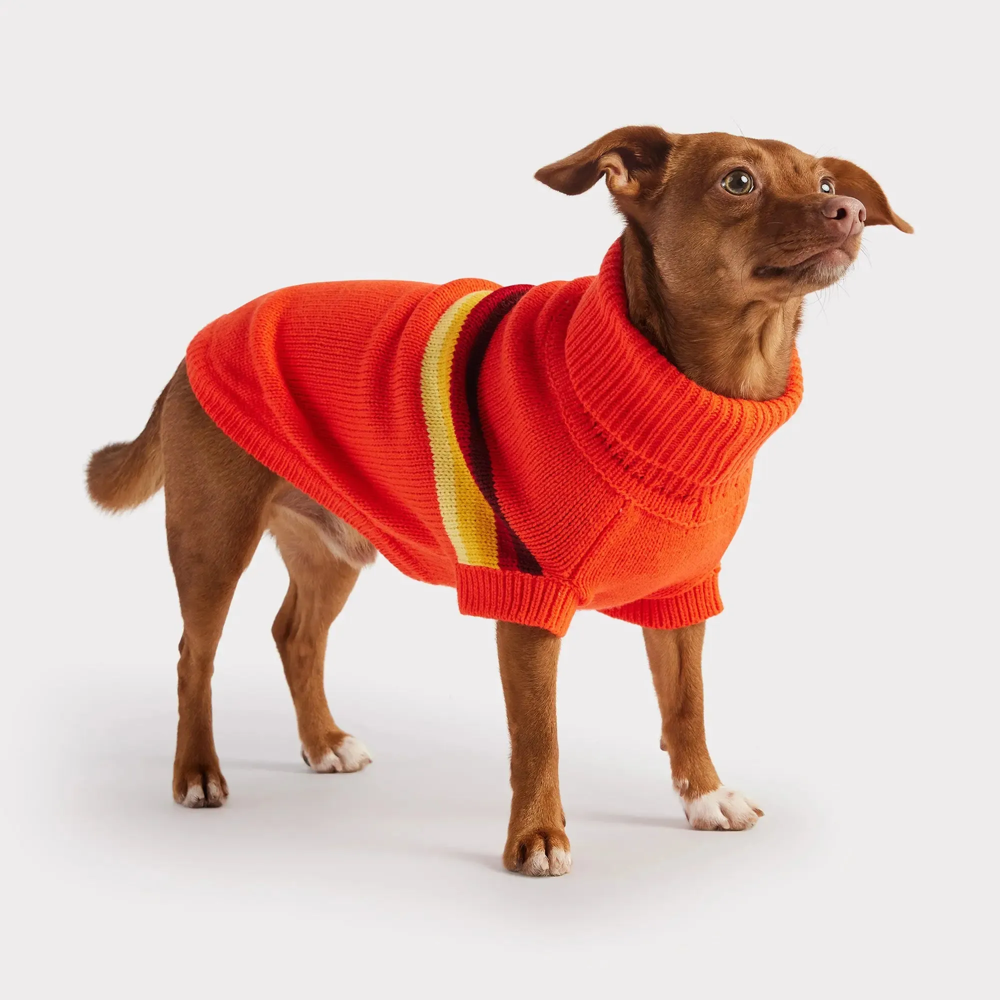 Retro Dog Sweater | Orange