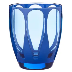 the blue birdie acrylic cup