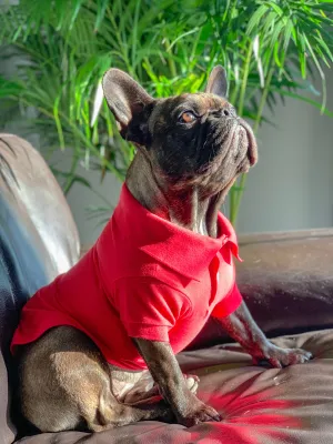 The Everyday Polo - Scarlet Red
