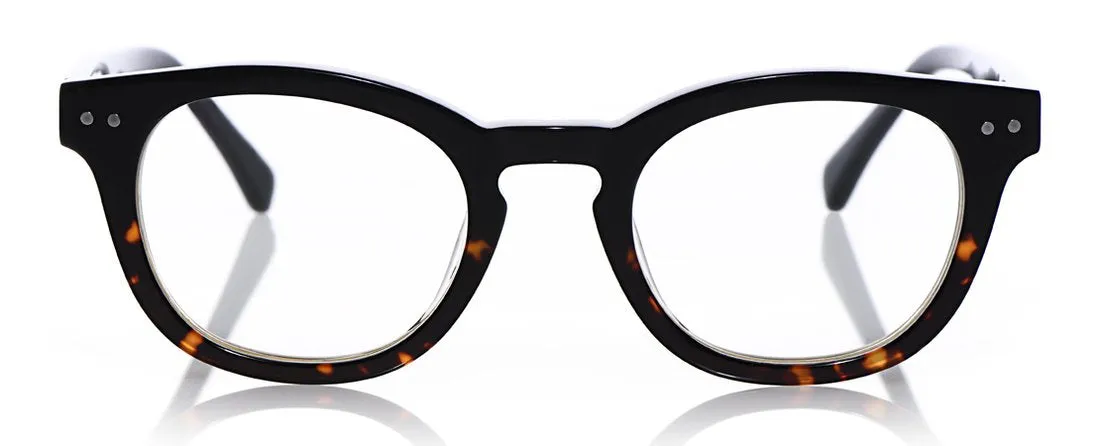 Waylaid Wide Color 05 - Demi tortoise front with black temples