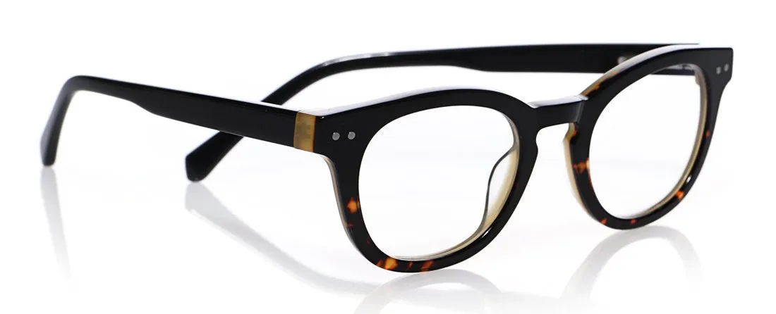 Waylaid Wide Color 05 - Demi tortoise front with black temples