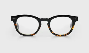Waylaid Wide Color 05 - Demi tortoise front with black temples